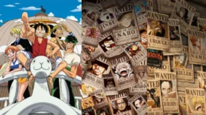 One piece poster and bounties showing different episodes